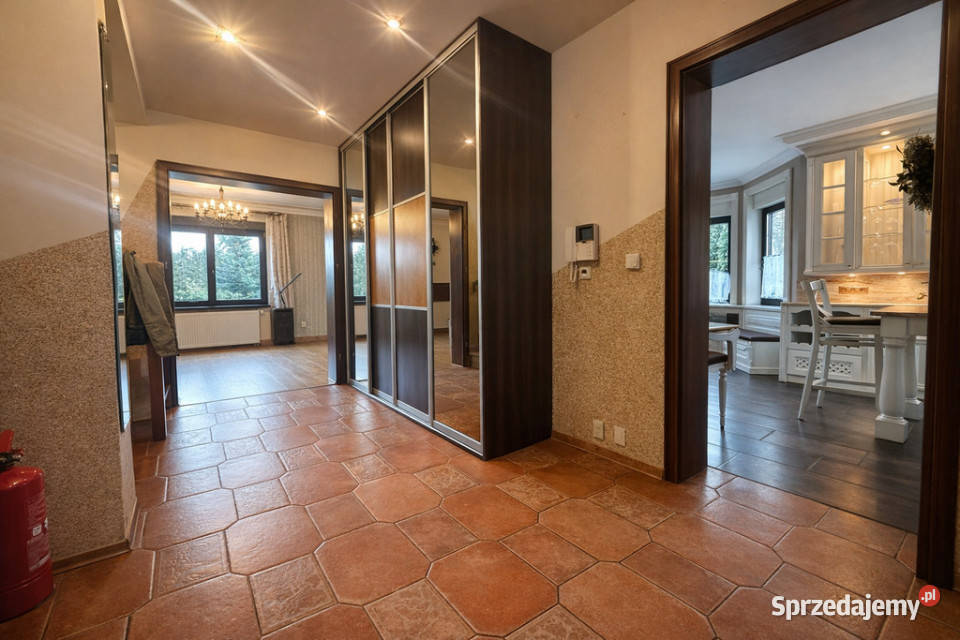 Dom wolnostojący 260 m działka 1040m2 Dołuje dachówka