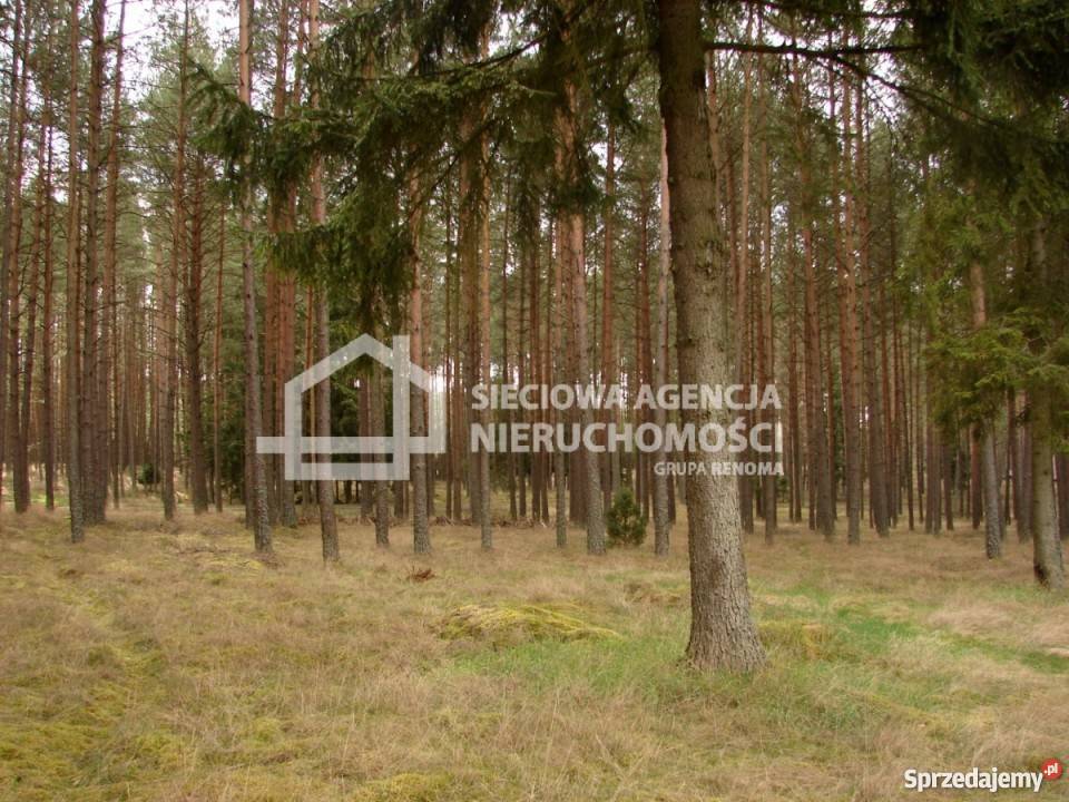 Sprzedaż działki 165900m2