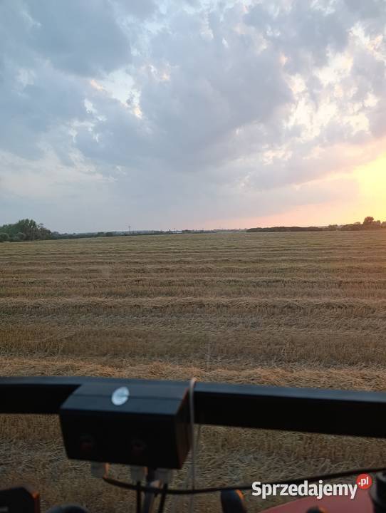 Przyjmę grunty orne w dzierżawę Teresin