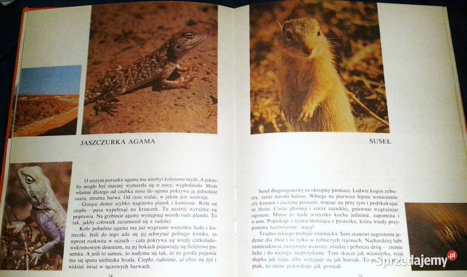 Świat tęczy Nikołaj Sładkow Pozostałe Chełm