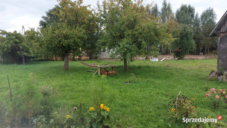 Perełka Podlasia m Czarna Cerkiewna