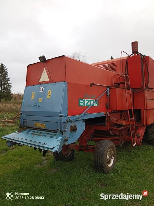 Bizon z056 Stary Dzierzgoń