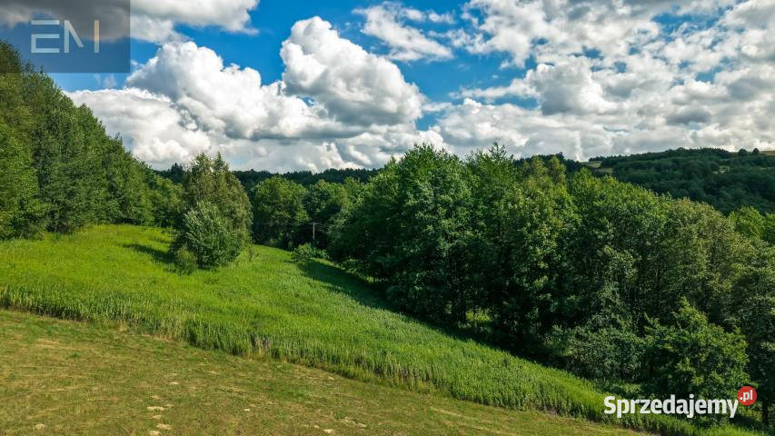 Działka Jaszczurowa 18900m2