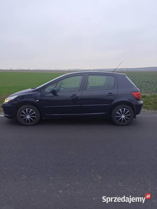 Peugeot 307 wielkopolskie Szamotuły