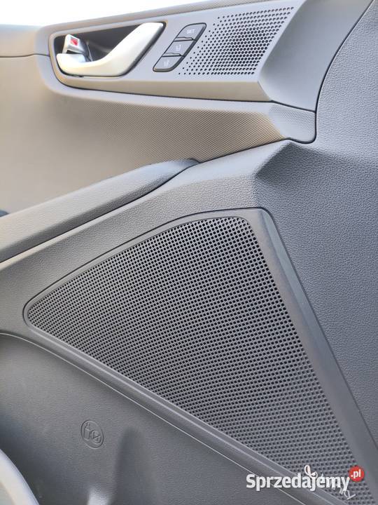 Hyundai IONIQ 28 kWh platinium nieuszkodzony
