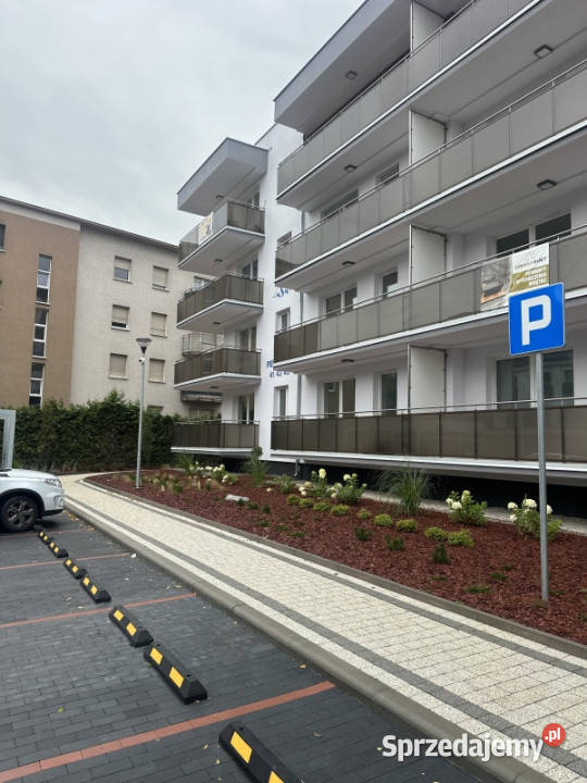 wynajmę mieszkanie 32 m2 Toruń