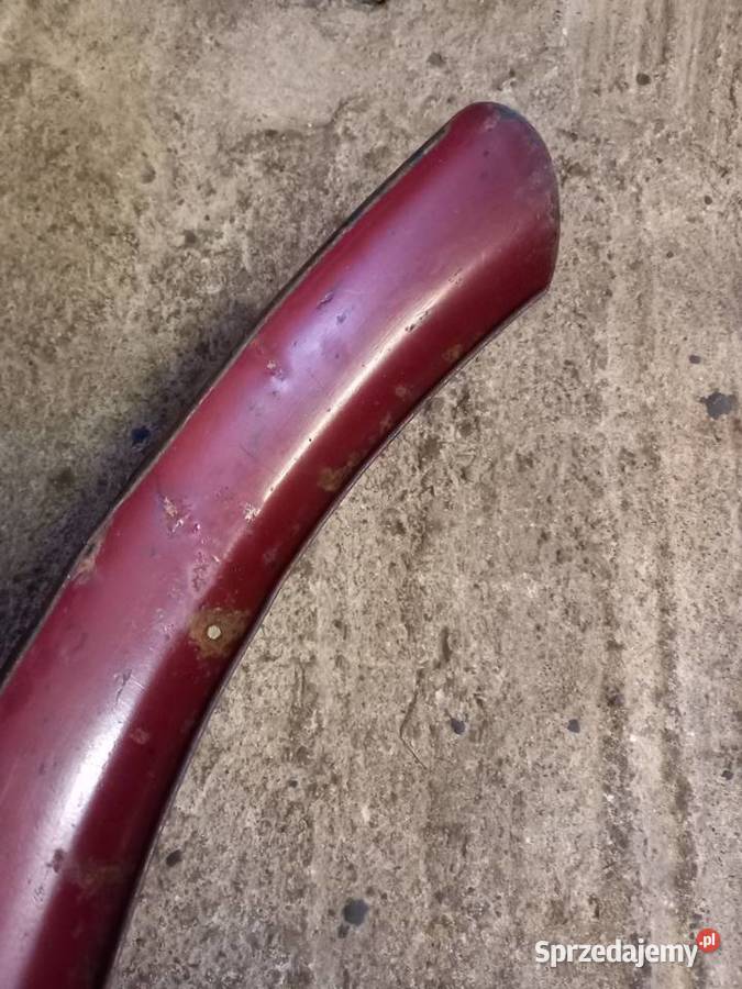 Blotnik przedni komar sztywniak Sokołów Podlaski