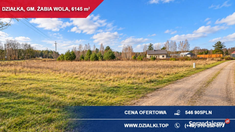 Działka inwestycyjna 6145 m2 magazyn usługi Piotrkowice