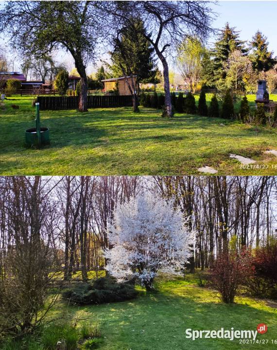 Ogródek działkowy ROD Jaskółka Mościce Tarnów