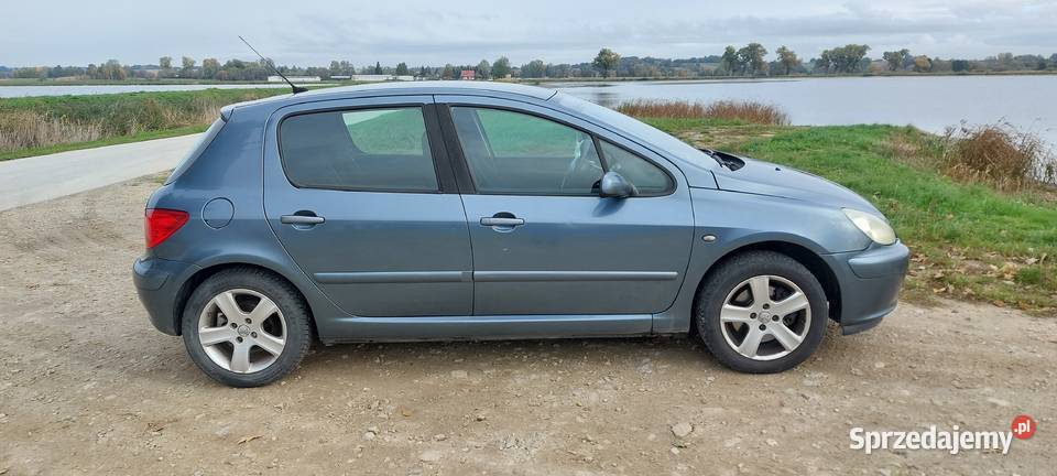 Peugeot 307 315000km Szczucin