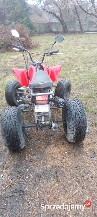 Sprzedam kłada Bashan 250 nieuszkodzony Nowe Skalmierzyce