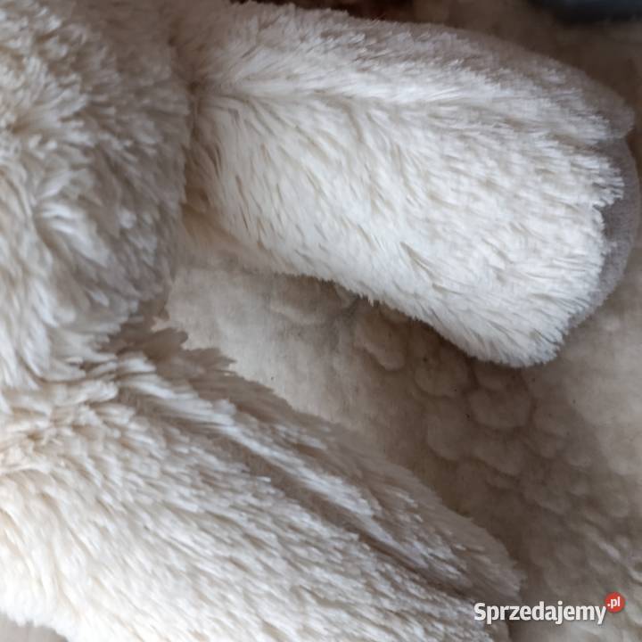 miś w odcieniu kremowym 40 wielkopolskie Poznań