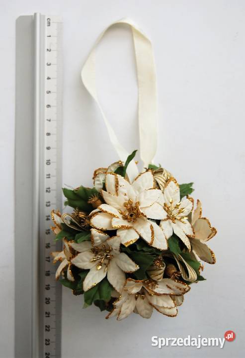 Kula roślinna biała gwiazda betlejemska Lublin