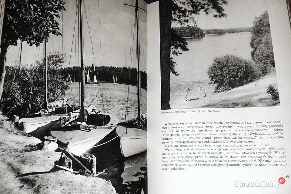 Ziemia puszcz i jezior Kazimierz SaysseTobiczyk Chełm sprzedam