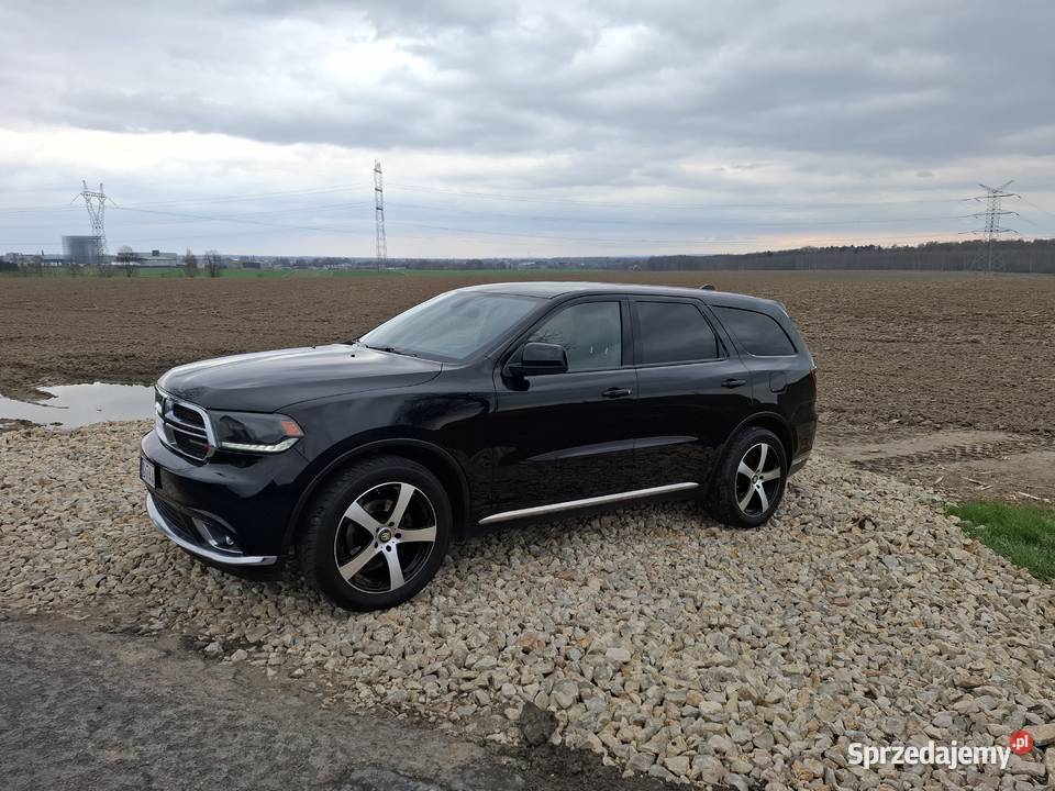 Czarna perełka Pniów sprzedam