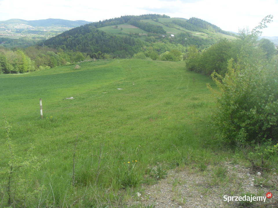 DZialka widokowo rolna 35argm lososina dolna Nowy Sącz