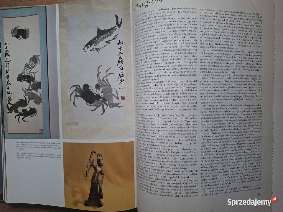 Cina Anna Doleżalowa j słowacki małopolskie Kraków