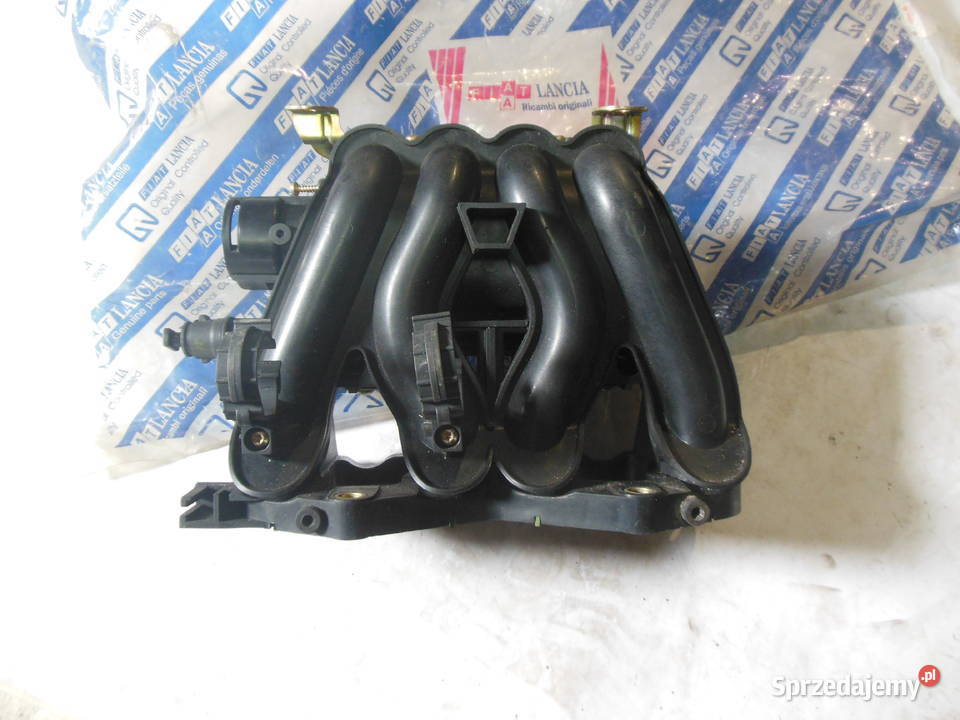 KOLEKTOR SSĄCY 12 8V PUNTO 2 PANDA PALIO YPSILON Kozy