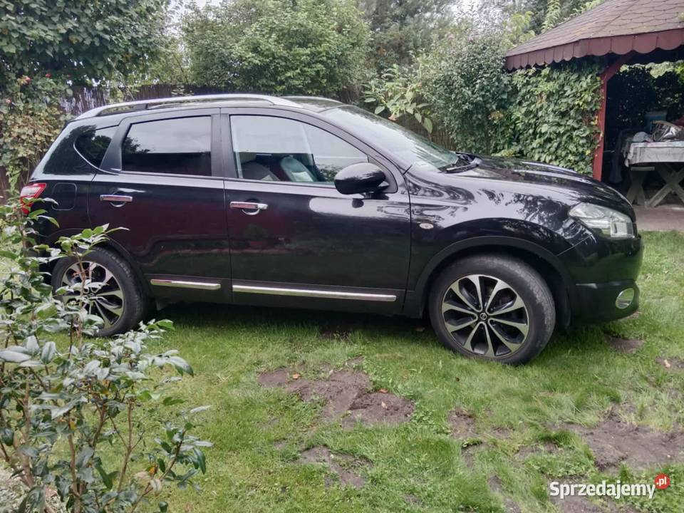 sprzedam qashqaia 16 kujawsko-pomorskie Izbica Kujawska