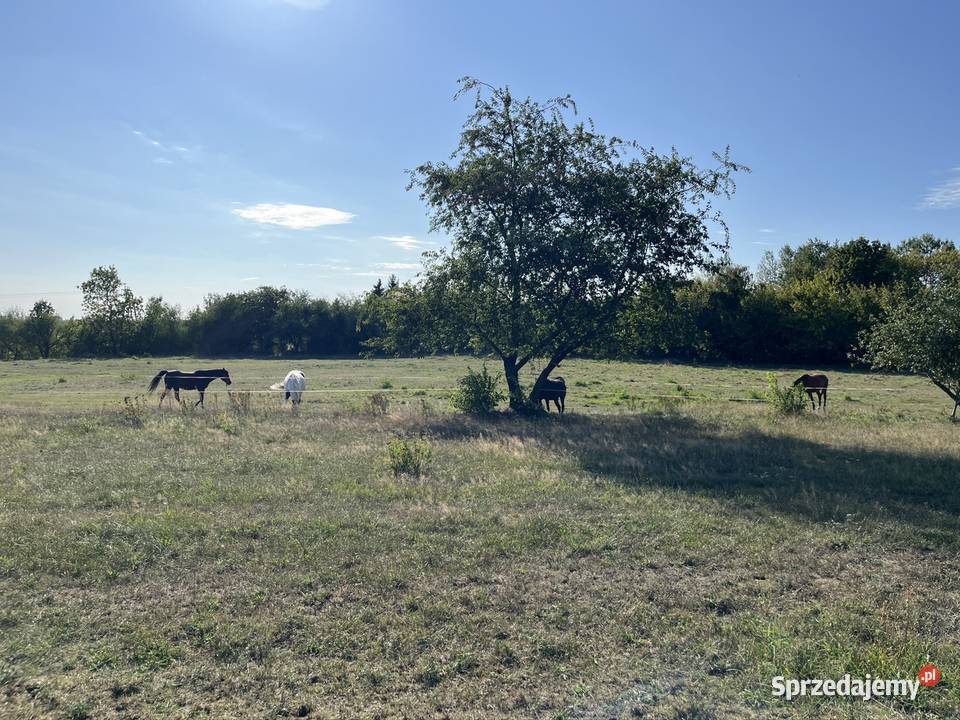 Działka budowlana 1000m 27x37 Strykowska Opolska Łódź