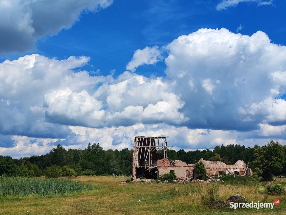 Siedlisko RADZIEJE mieszkanie 67 m2 działka warmińsko-mazurskie sprzedam