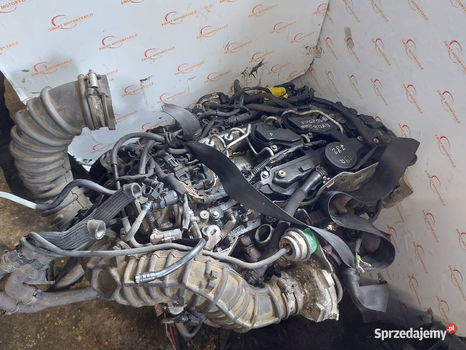 TRAFIC VIVARO 20 DCI 08r M9R782 114 185 silnik osobowe Kielce