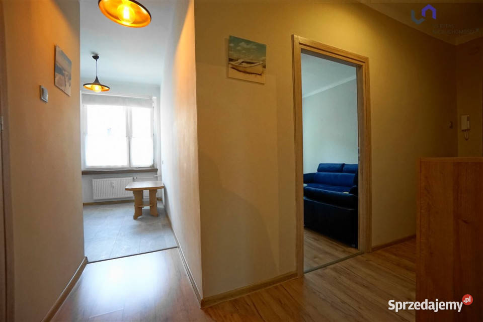 wynajmu mieszkania 4589m2 2 pokojowe Katowice sprzedam