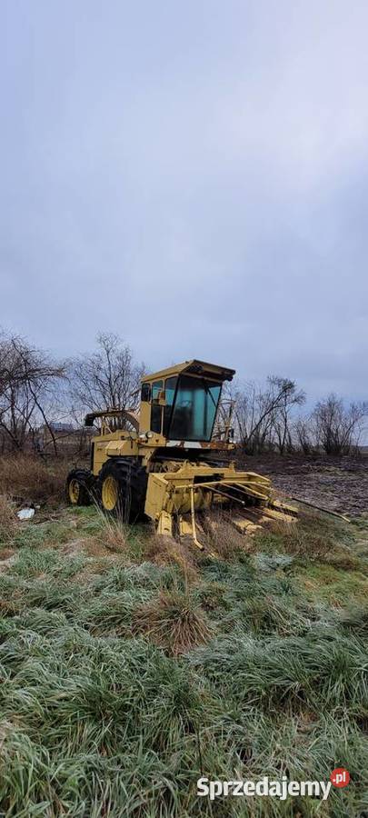Holland 1905 nieuszkodzony Werbkowice