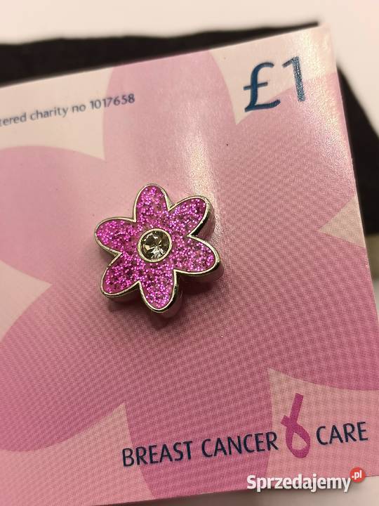 BIŻUTERIA BROSZKA PIĘKNA MALUTKI RÓŻOWY KWIATEK Dla kobiet Ozdoby Zamość