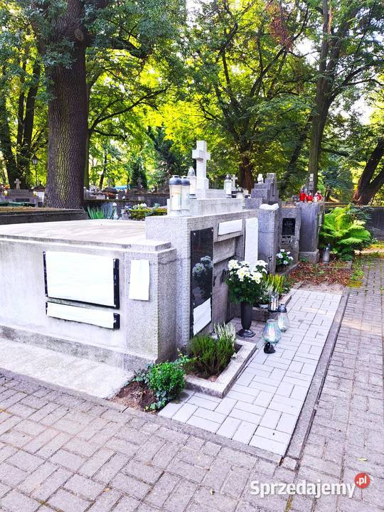 TARNÓW STARY CMENTARZ MIEJSCA NA URNY 300zł/m2 Sprzedaż Tarnów sprzedam