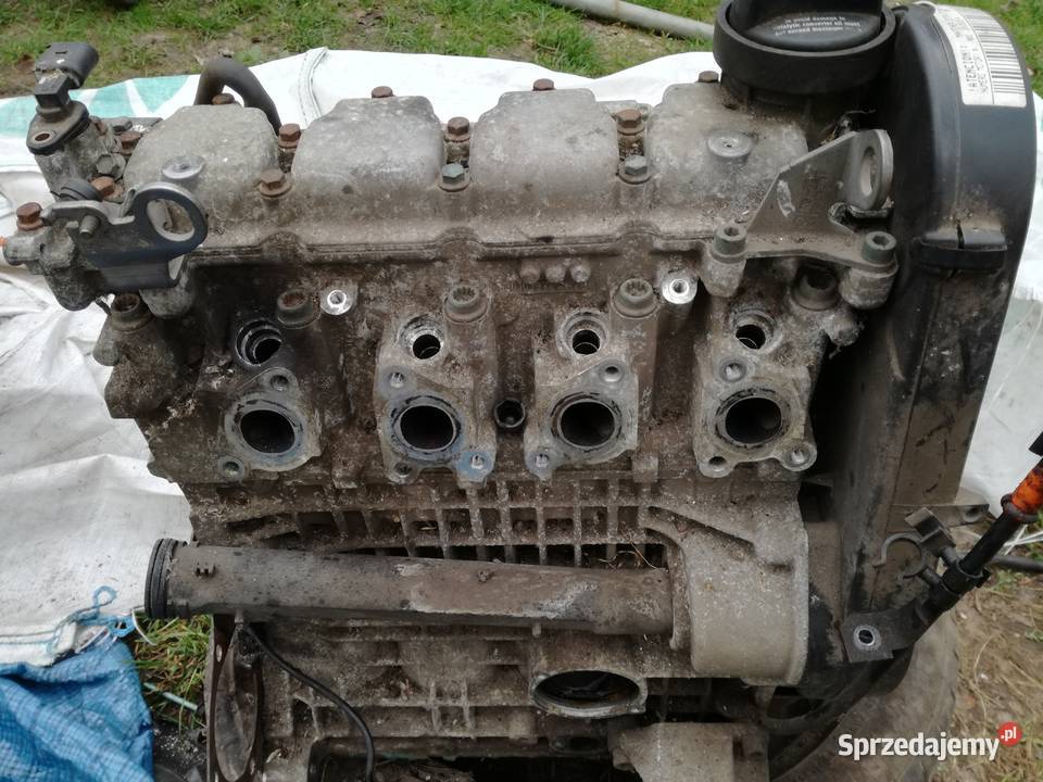 Audi Seat VW Skoda silnik 14 MPI osobowe Silniki i osprzęt Sulęcin
