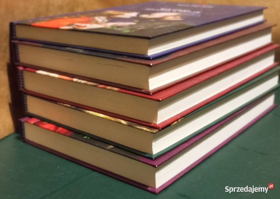 Wspaniałe stulecie Sulejmana Roksolana Pawło podkarpackie