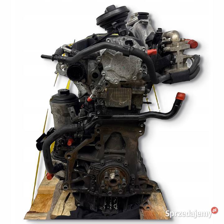 SILNIK VW Golf V Jetta III Touran Passat B6 19 Chełm
