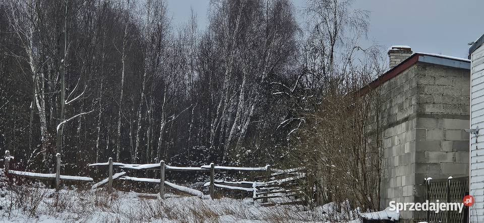 Syndyk sprzeda udział 18 w spadku działek Gostków