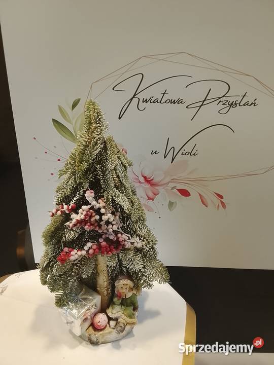 Stroiki bożonarodzeniowe Mroków-Kolonia