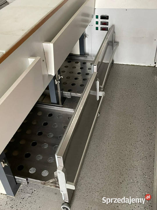 Fiat Ducato Autosklep wędlin Gastronomiczna food