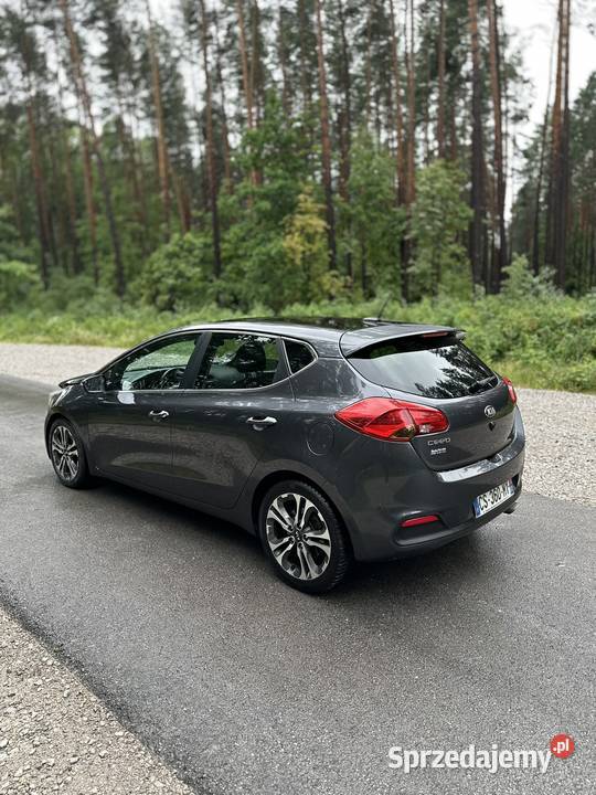 Kia Ceed 16 GDI 135 2013 Panorama Skóra Pamięć 136KM Mniów sprzedam