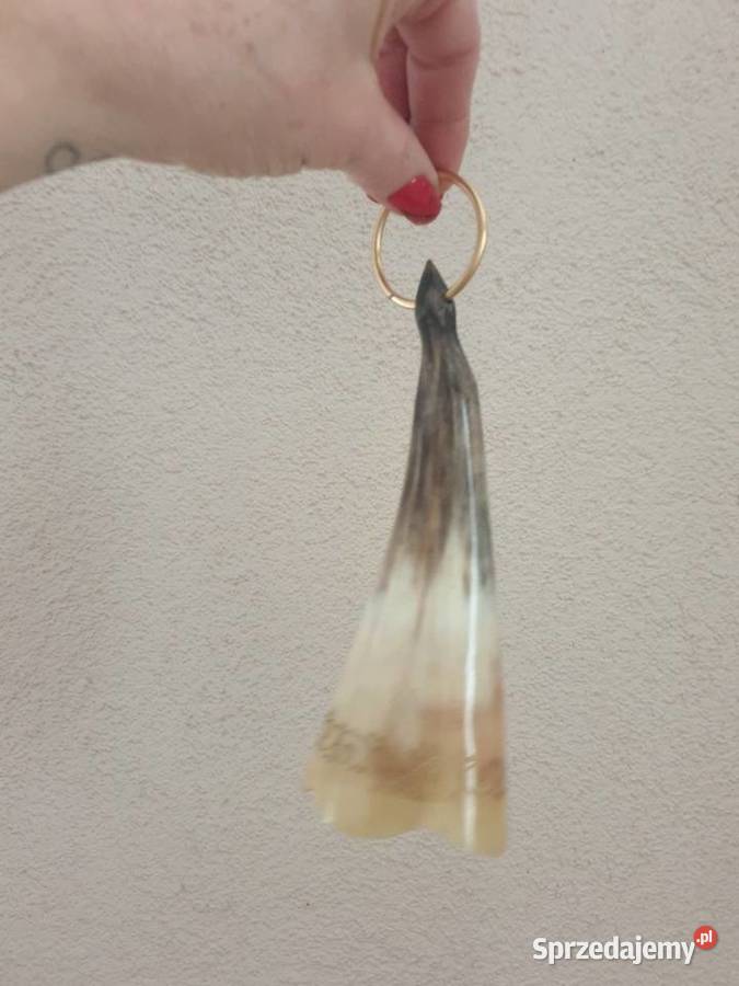 Ozdobny róg myśliwski 17 Radom