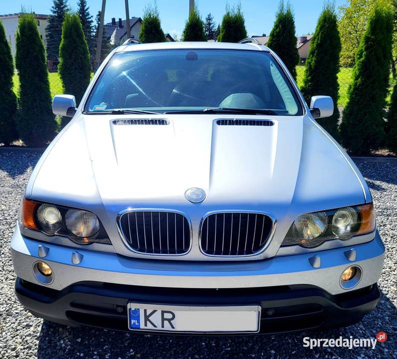 BMW X5 44 Benzyna 4x4 TV Nawigacja Automat Kraków