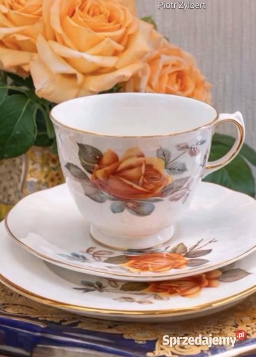 Porcelana zdobiona motywem róż łódzkie Pabianice