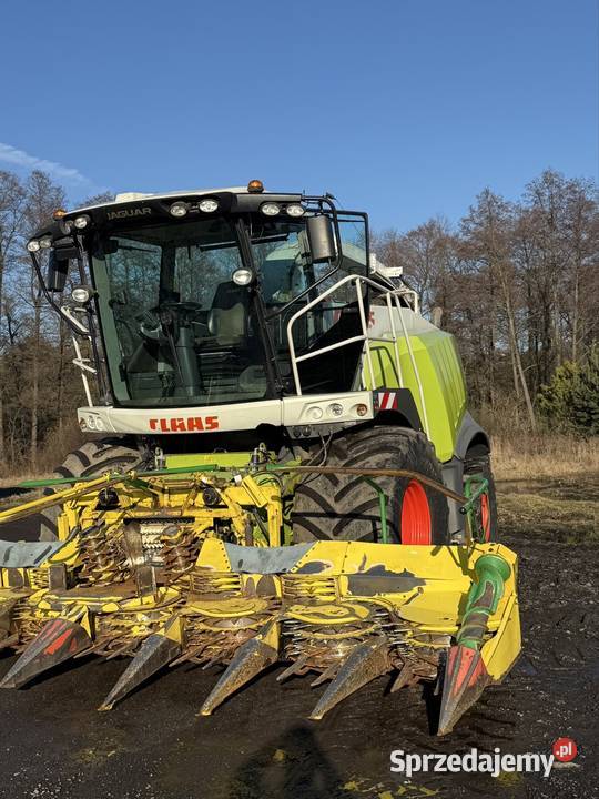 Sieczkarnia Claas Jaguar 950 Pozostałe Szczerców sprzedam