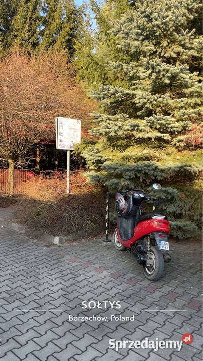 Peugeot zenith 50cc Peugeot lubelskie Niedrzwica Duża