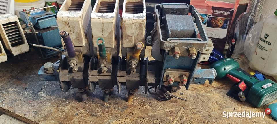 Sprzedam Styczniki mazowieckie Różan