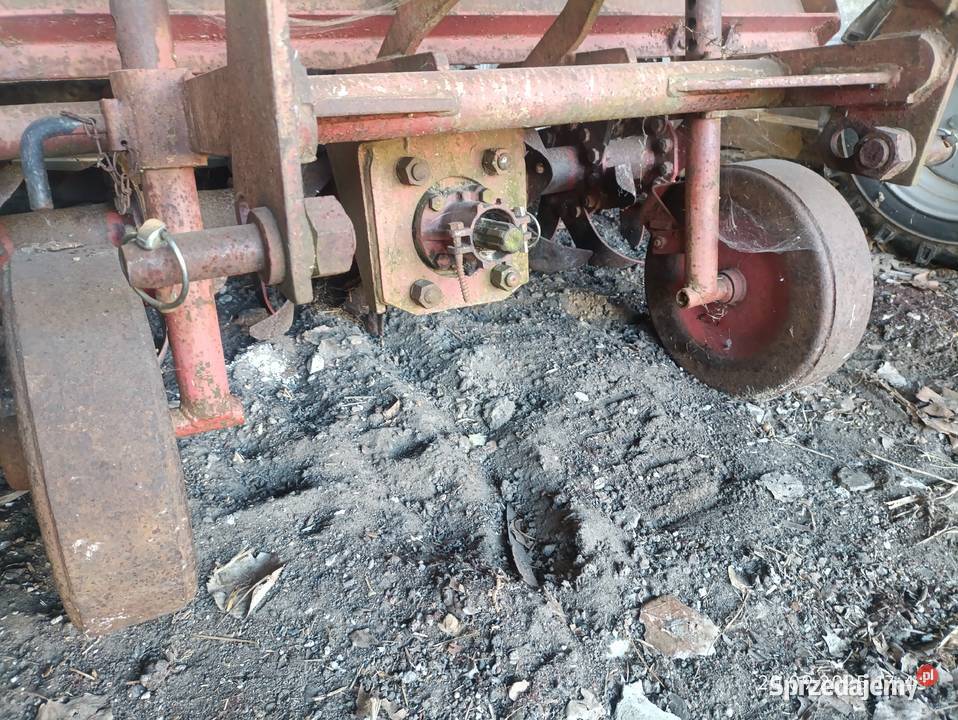 Glebogryzarka mazowieckie Wyszków