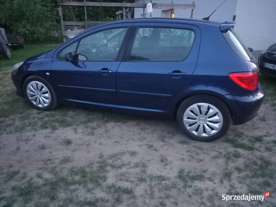 Peugeot 307 2007 Sieradz
