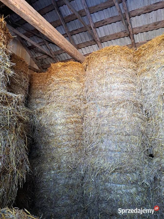 Sprzedam Słomę siano kiszonkę Błonie