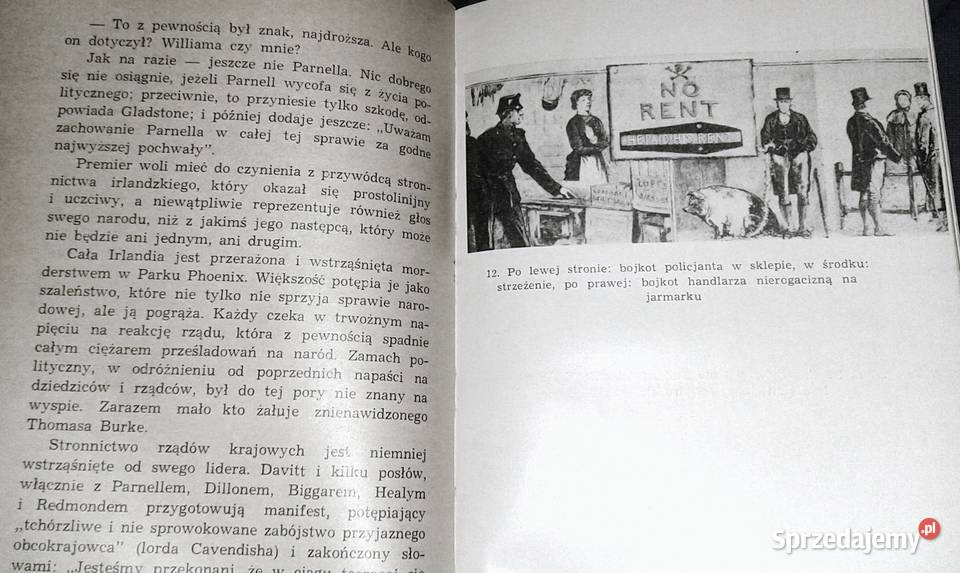 Niekoronowany król Irlandii George Bidwell miękka sprzedam