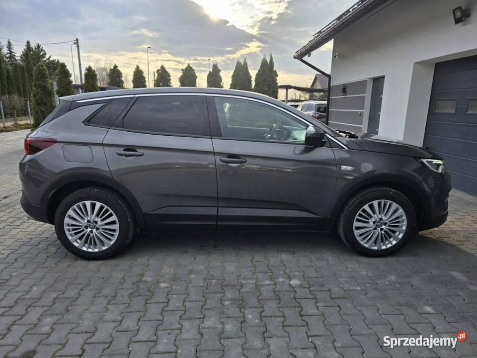 Opel Grandland X Żabno
