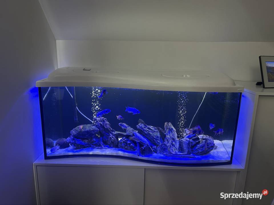 Akwarium fala 240 litrów z pełnym wyposarzeniem Ostrołęka