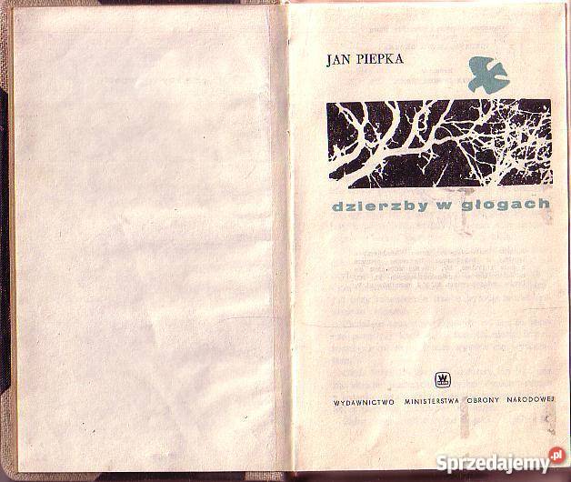 9911 DZIERZBY W GŁOGACH JAN PIEKA Czyrna